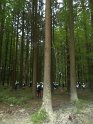 Maibaum_2018 (18)